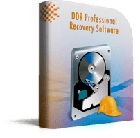 DDR Professional Recovery